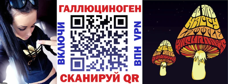Псилоцибиновые грибы Psilocybe  Лениногорск 